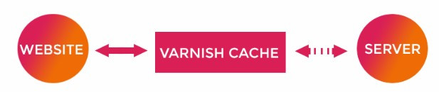 Varnish Cache